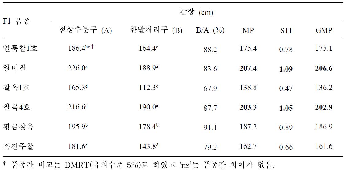 유수형성기 한발처리구와 정상수분구 간장에 대한 찰옥수수 품종간 비교