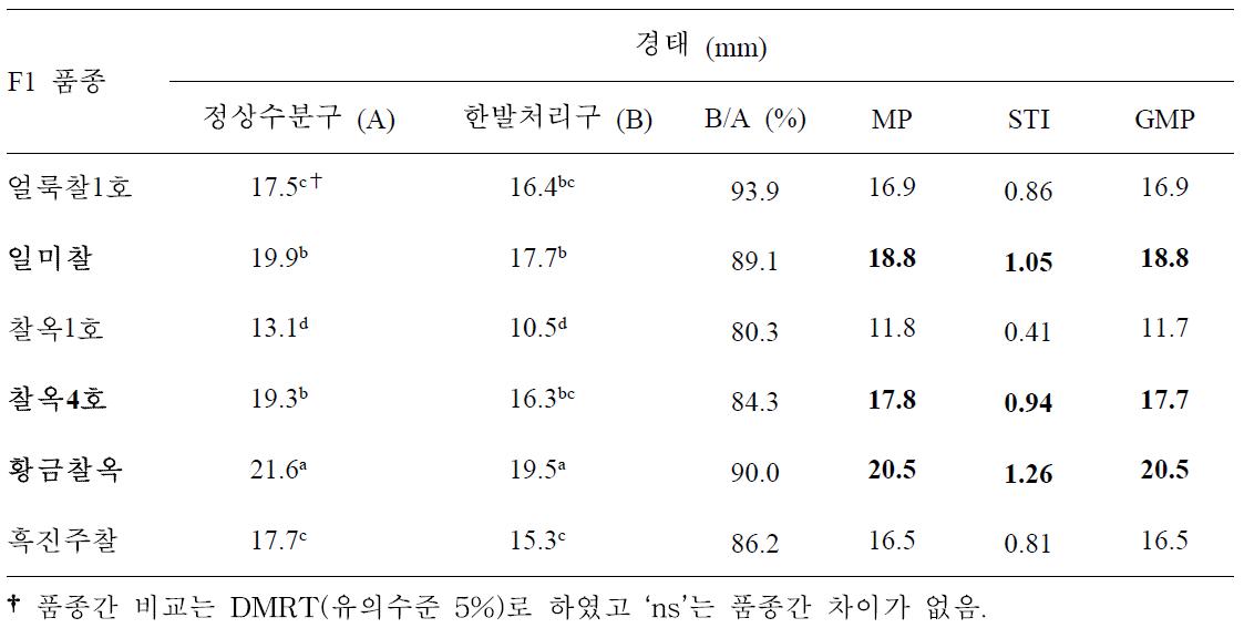 유수형성기 한발처리구와 정상수분구 경태에 대한 찰옥수수 품종간 비교