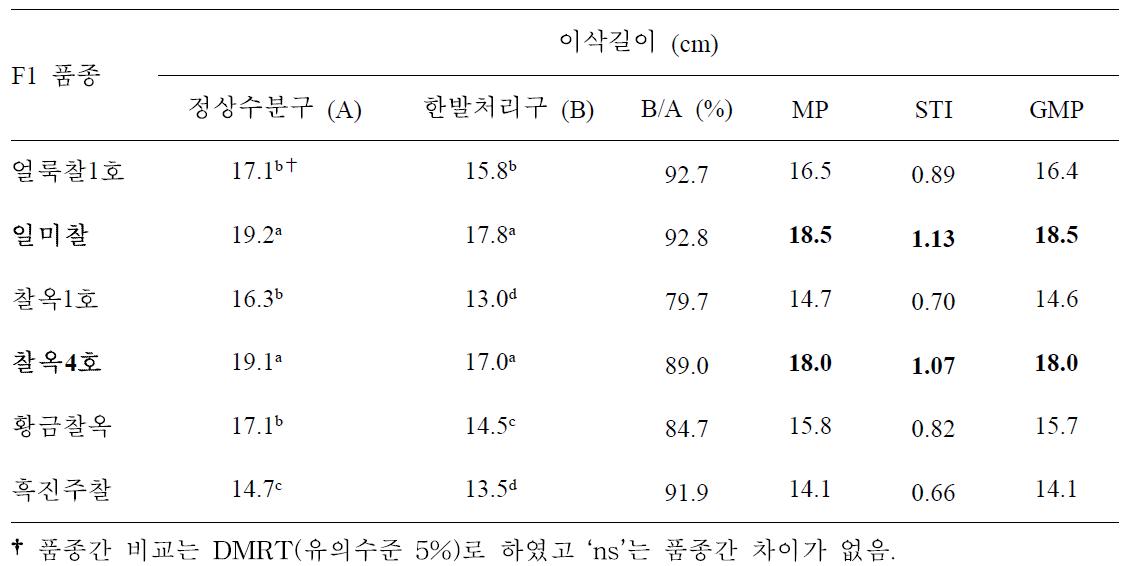 유수형성기 한발처리구와 정상수분구 이삭길이에 대한 찰옥수수 품종간 비교