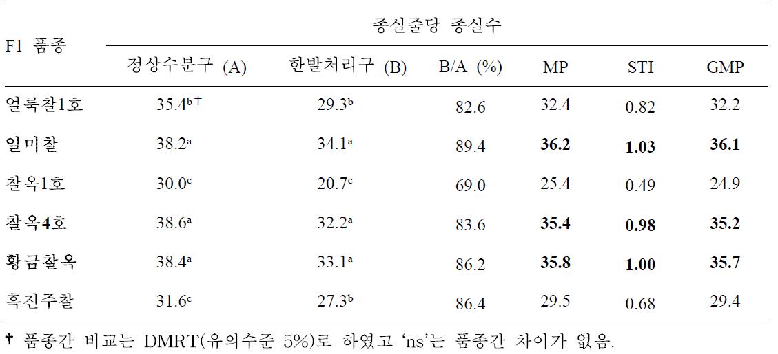 유수형성기 한발처리구와 정상수분구 종실줄당 종실수에 대한 찰옥수수 품종간 비교