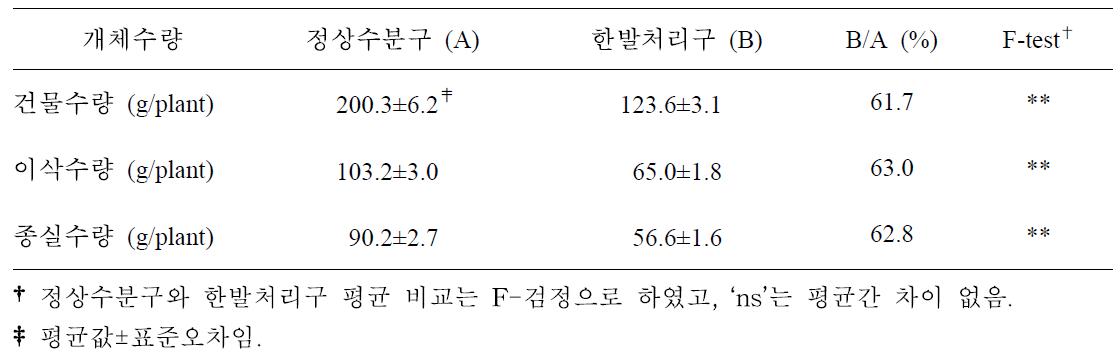 찰옥수수 6개 품종의 유수형성기 한발처리구와 정상수분구 수량성 비교