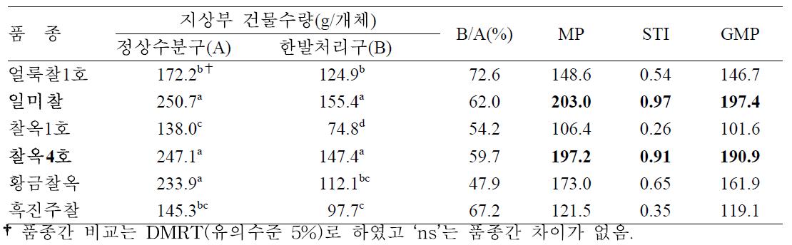 유수형성기 한발처리에 따른 찰옥수수 품종간 지상부 건물수량 한발내성 비교