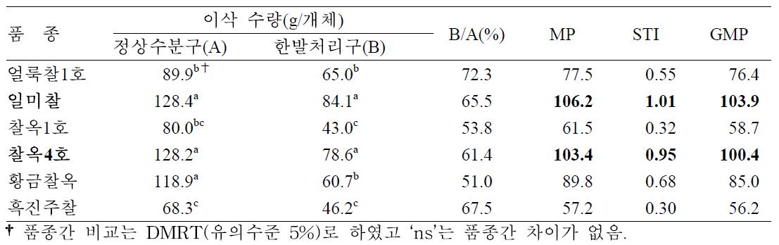 유수형성기 한발처리에 따른 찰옥수수 품종간 이삭수량 한발내성 비교