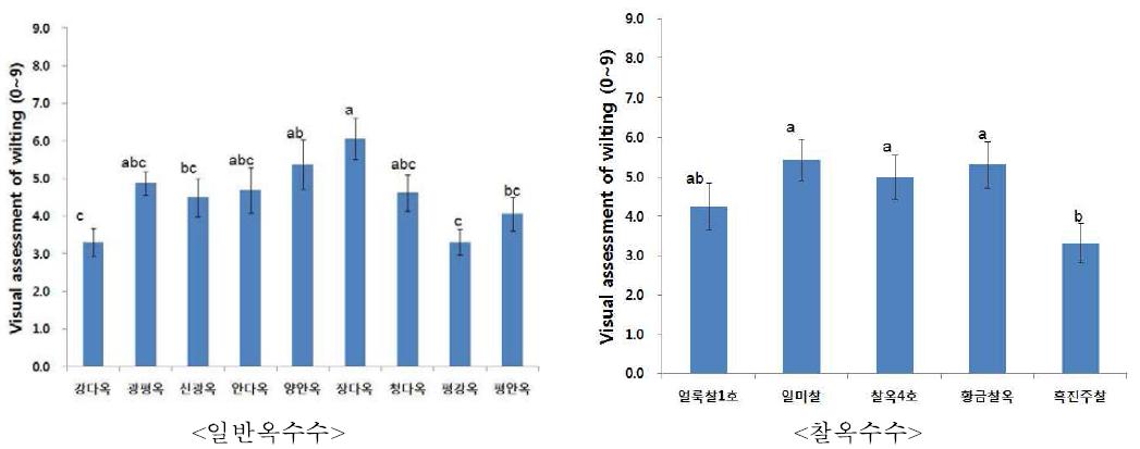 개화기 한발처리구와 정상수분구의 주요 품종별 ASI 비교