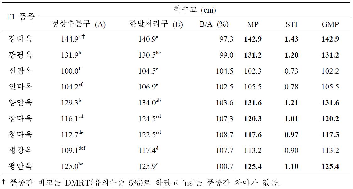 개화기 한발처리구와 정상수분구 착수고에 대한 일반옥수수 품종간 비교