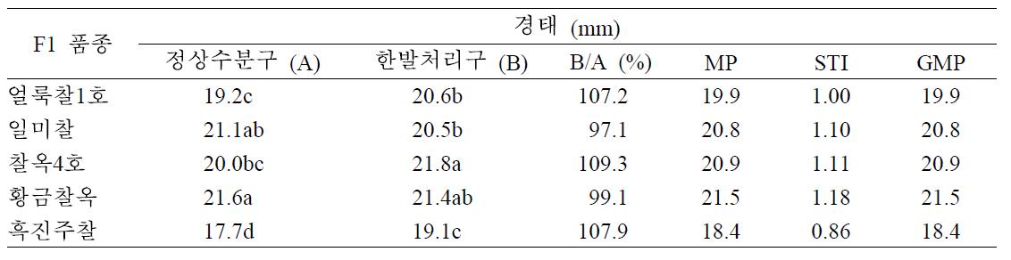 개화기 한발처리구와 정상수분구 경태에 대한 찰옥수수 품종간 비교