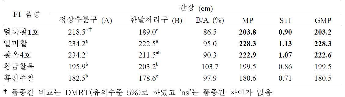 개화기 한발처리구와 정상수분구 간장에 대한 찰옥수수 품종간 비교