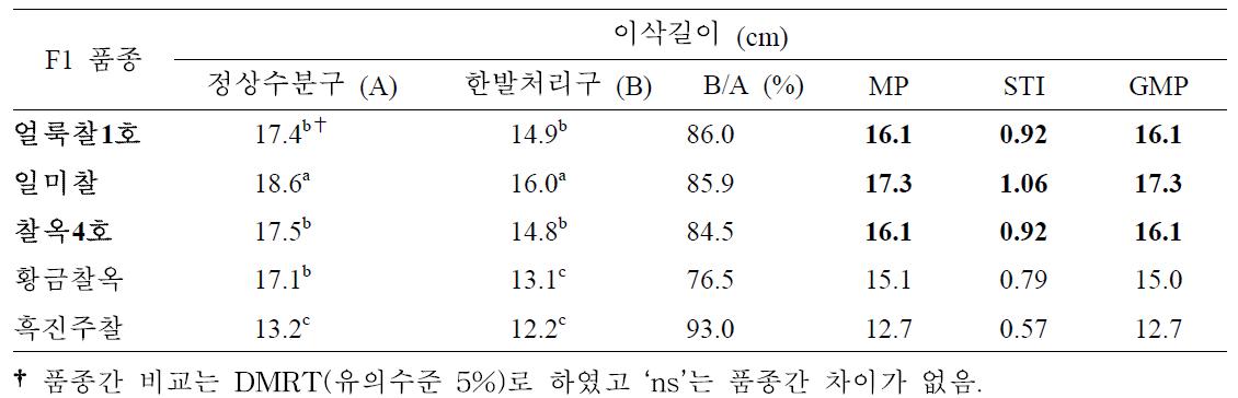 개화기 한발처리구와 정상수분구 이삭길이에 대한 찰옥수수 품종간 비교