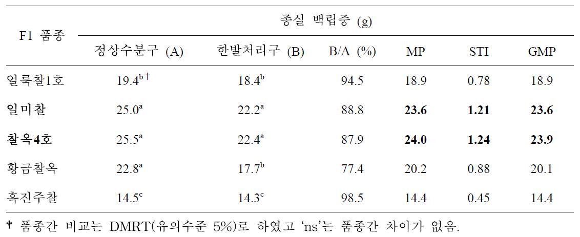 개화기 한발처리구와 정상수분구 종실 백립중에 대한 찰옥수수 품종간 비교