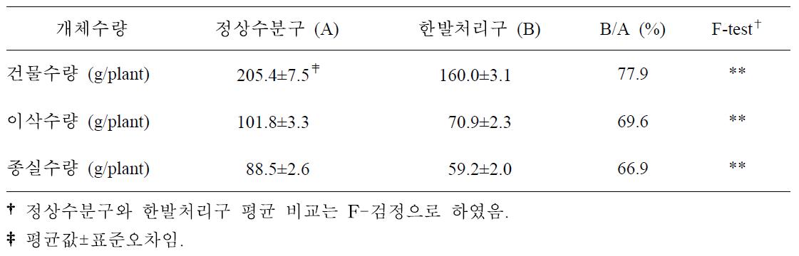 찰옥수수 5개 품종의 유수형성기 한발처리구와 정상수분구 수량성 비교