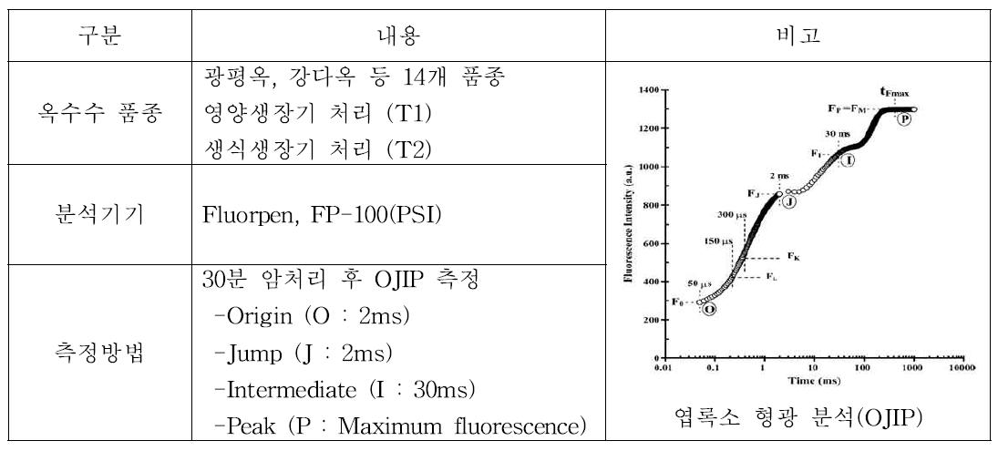 엽록소형광 측정 개요