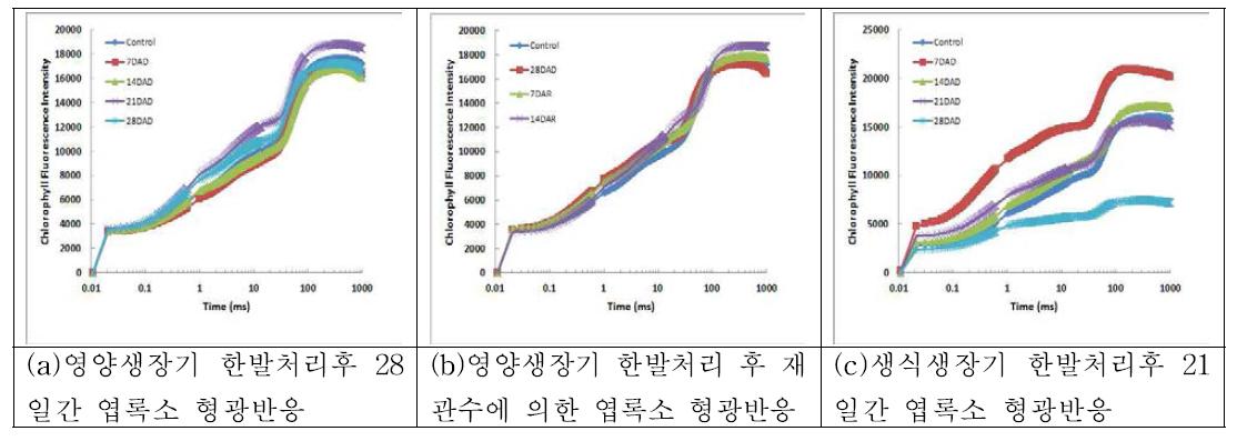 한발스트레스 처리 후 ‘광평옥’의 엽록소 형광반응 비교.