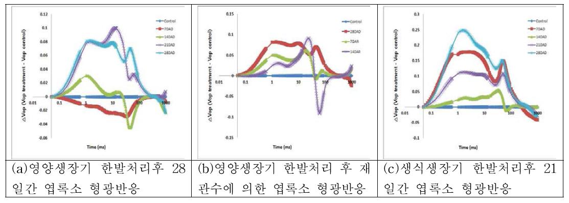 한발스트레스 처리후 ‘광평옥’의 형광반응 비교