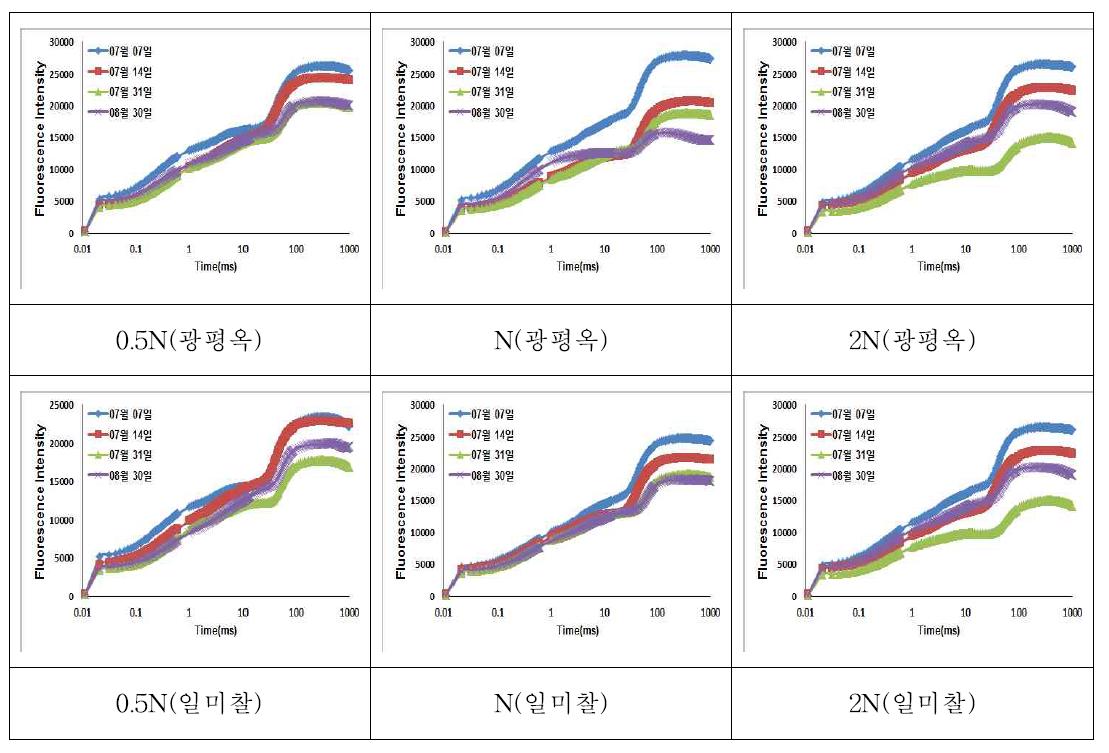 2014년 5월 15일 파종 옥수수의 질소 수준별 엽록소 형광 변화