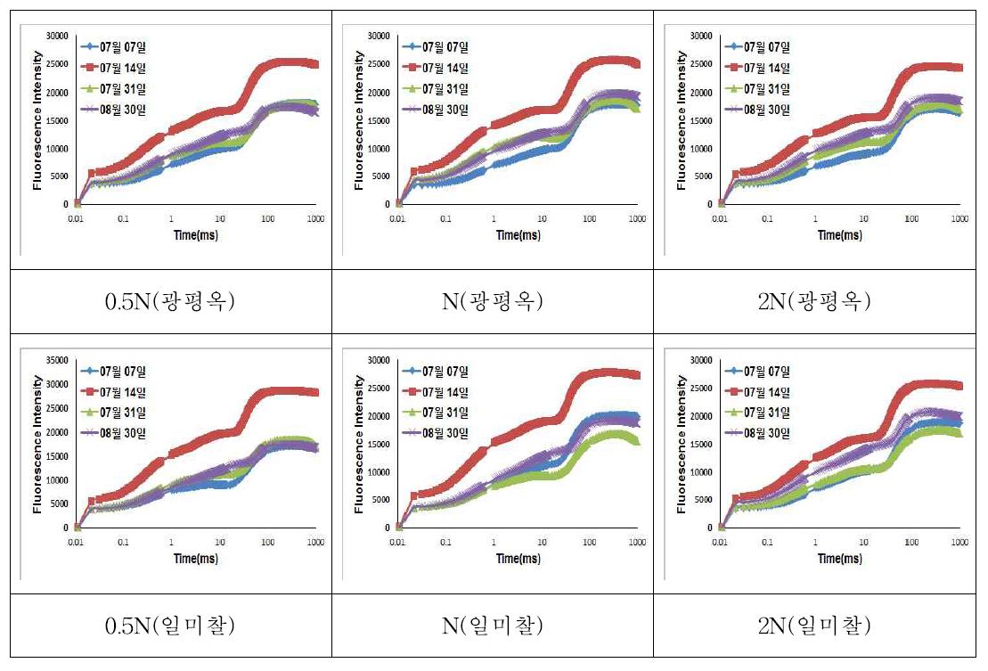 2014년 6월 2일 파종 옥수수의 질소 수준별 엽록소 형광 변화