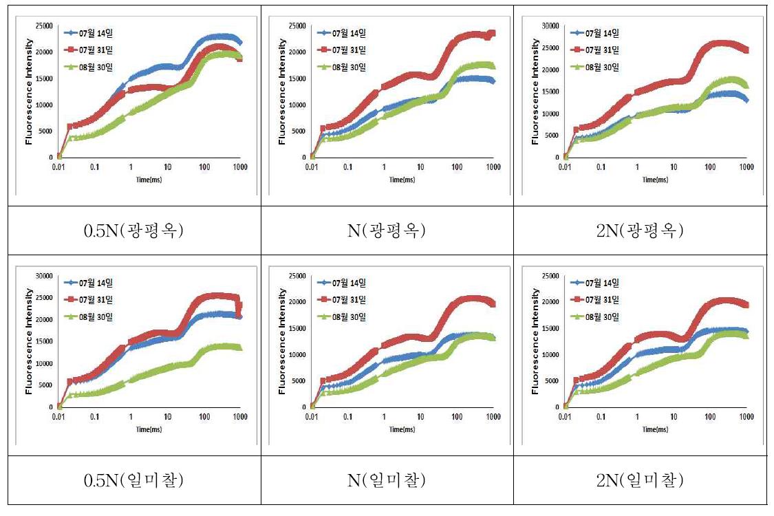 2014년 6월 24일 파종 옥수수의 질소 수준별 엽록소 형광 변화