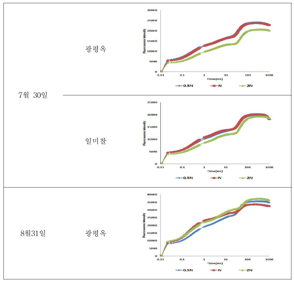 2015년 옥수수의 질소 수준별 엽록소 형광량(OJIP) 변화 (4/27 파종)