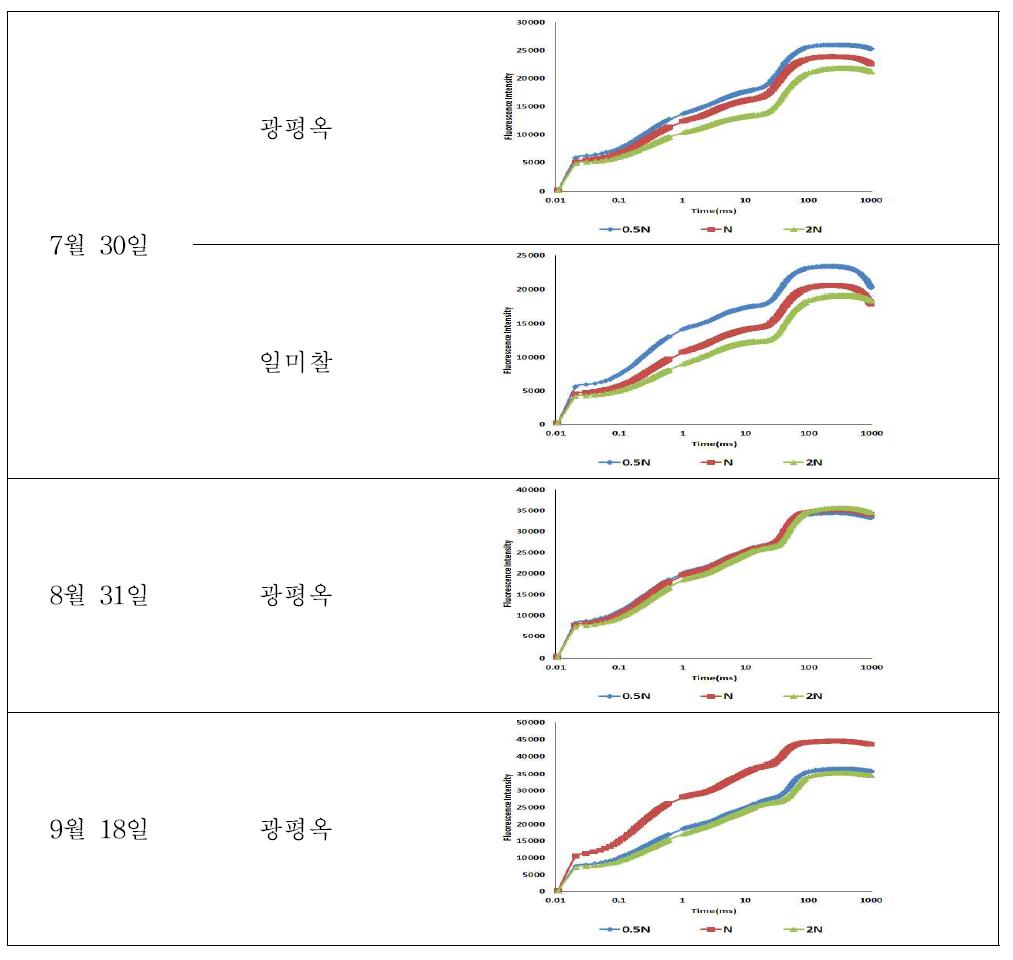 2015년 옥수수의 질소 수준별 엽록소 형광량(OJIP) 변화 (5/15 파종)