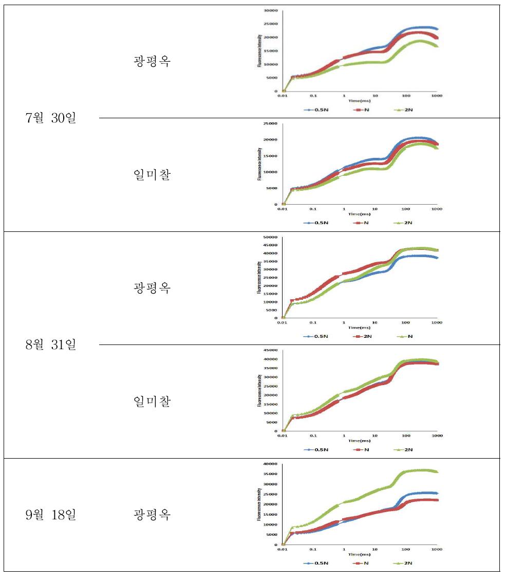 2015년 옥수수의 질소 수준별 엽록소 형광량(OJIP) 변화 (6/8 파종)