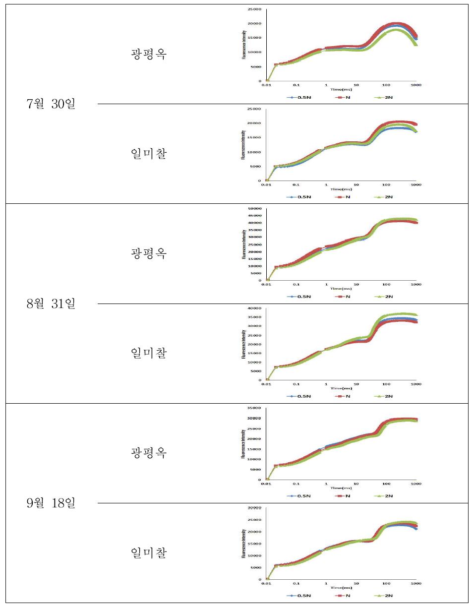 2015년 옥수수의 질소 수준별 엽록소 형광량(OJIP) 변화 (6/26 파종)