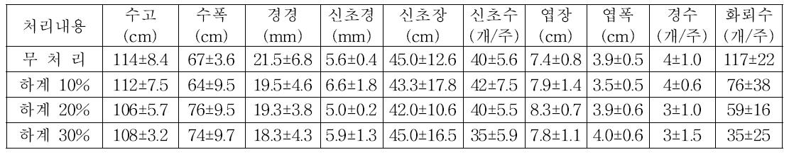 1년차 하계전정 처리 후 ‘Duke’ 월동전 생육