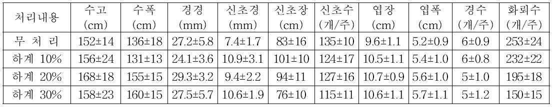 2년차 하계전정 처리 후 ‘Duke’ 월동전 생육