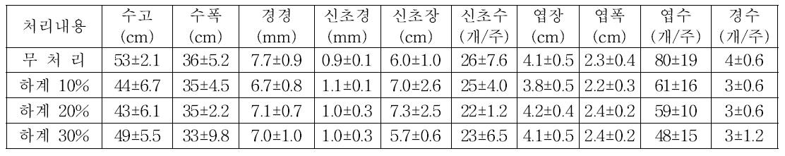 ‘Chandler’ 3년생 하계전정 처리 전 생육