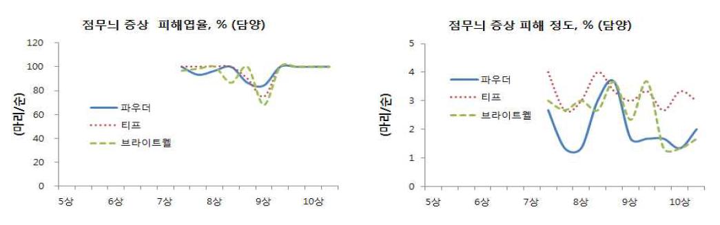 래빗아이 블루베리에 발생하는 점무늬 피해엽율