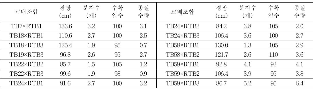 rice type 인공교배 F1 특성(2013년)