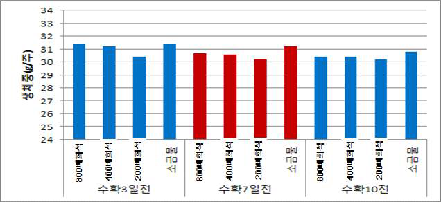 고조제 처리에 따른 수확기 메밀 생체중(잎마름 정도)