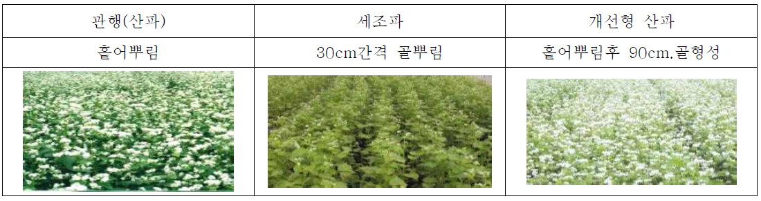 과습피해 경감을 위한 파종방법