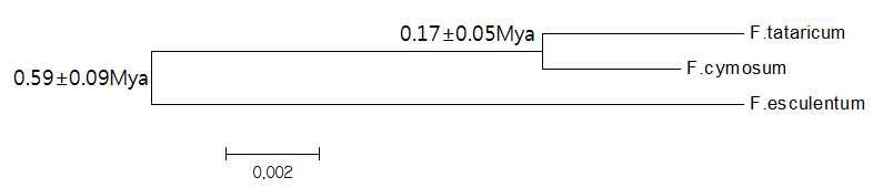 Evolutionary relationships of among Fagopyrum esculentum, F. cymosum and F. tataricum based on the matK coding sequence