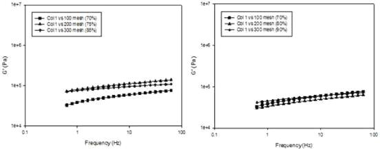 입도별(100, 200, 300 mesh) 수분함량 변화에 따른 탄성치(G‘) 비교