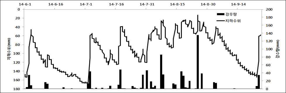 봄감자 수확기 이후 강우에 의한 지하수위 변동