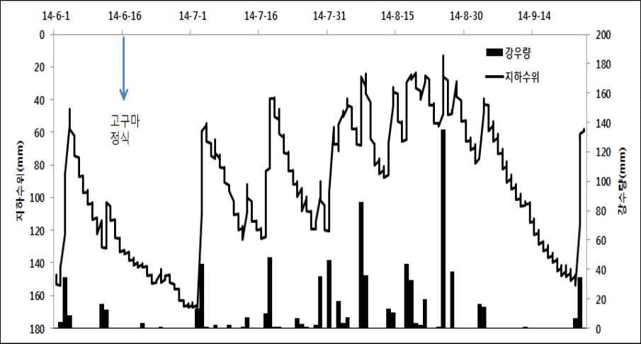 고구마 재배기간 동안 강우 및 지하수위 분포