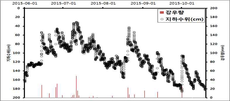 고구마 재배기간 동안 강우 및 지하수위 분포