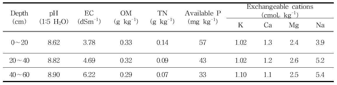 시험전토양의 이화학성