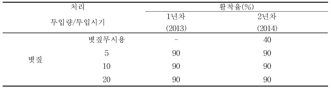 볏짚투입에 따른 고구마 활착율