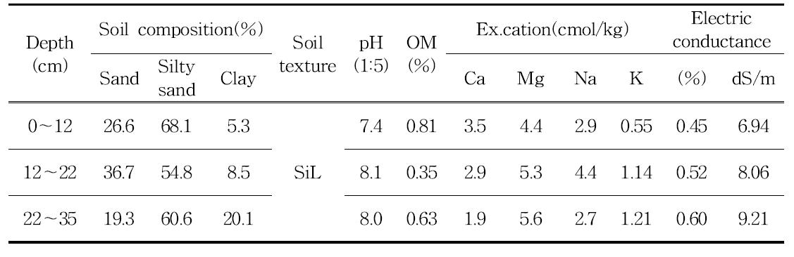 시험포장 깊이에 따른 토양의 이화학적 특성
