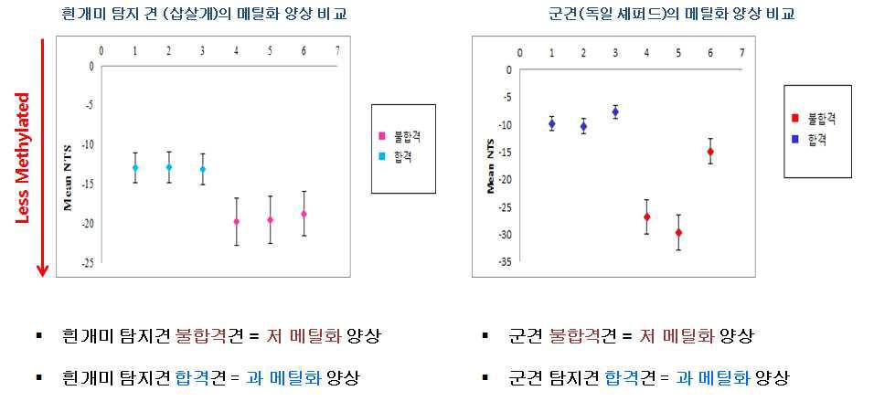 HRM 기법을 통한 특수목적견 특이적 MAOA 유전자 메틸화 양상 분석