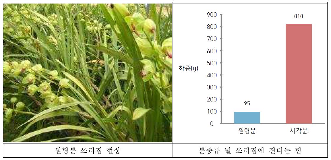 원형분 사용시 쓰러짐 현상과 분 종류별 쓰러짐에 견디는 힘