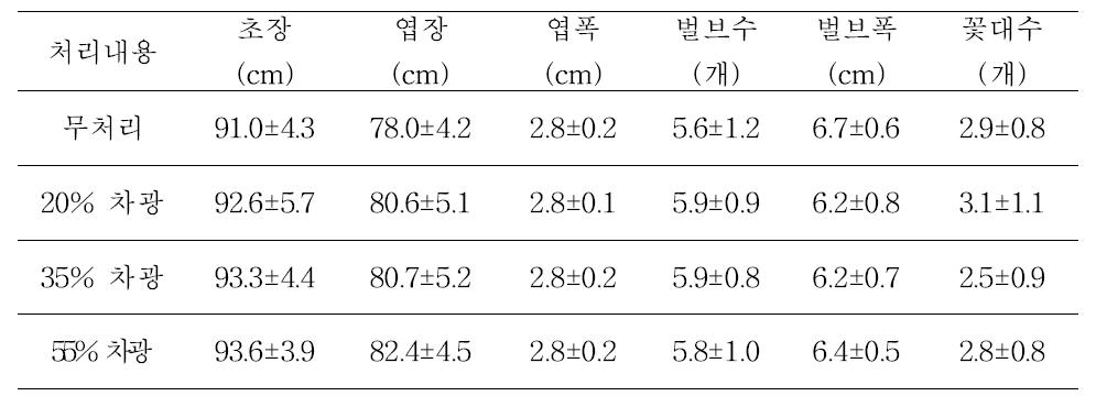 고온기 심비디움 차광에 따른 식물체 생육상황