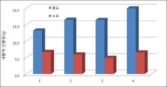 생육상 내에서 변온처리에 따른 심비디움 생육상황