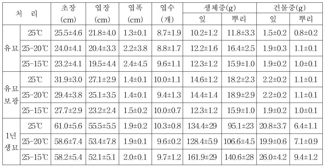 국부 난방시스템에서 심비디움 유묘의 변온처리 효과