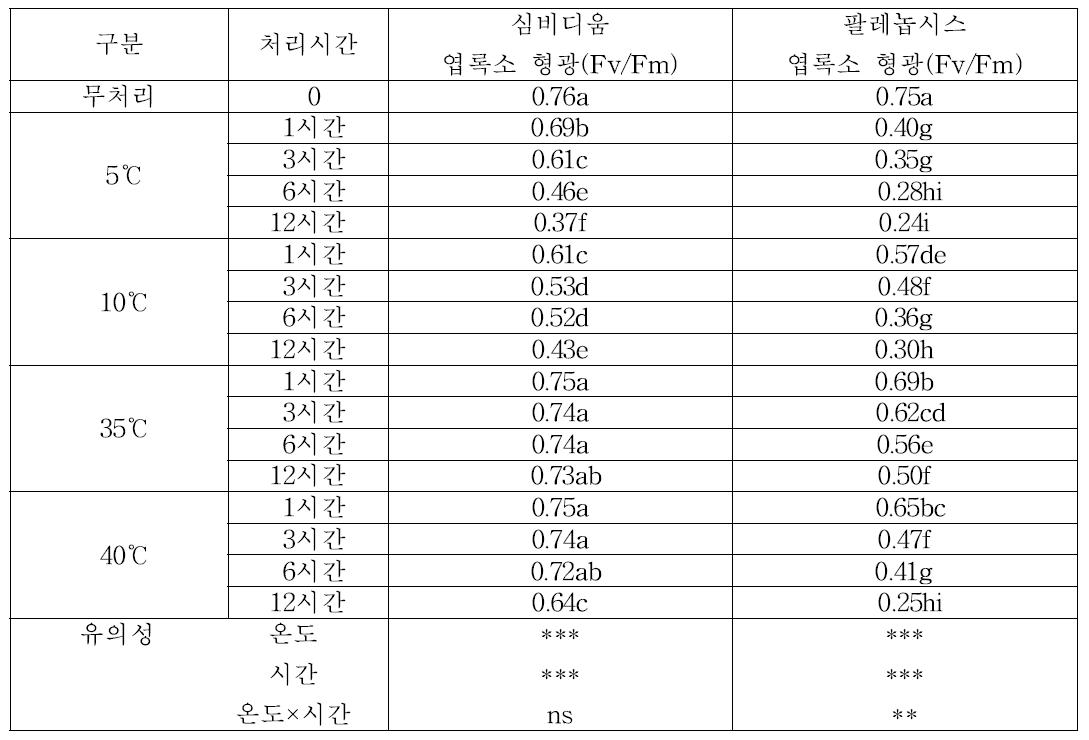 팔레놉시스 고온 및 저온 스트레스에 따른 엽록소 형광반응