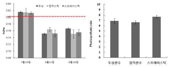 관수방법에 따른 광계효율 및 광합성