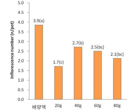 양분관리방법에 따른 심비디움의 화경 발생수