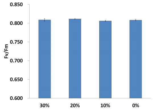 배양액내 암모늄태 질소 비율에 따른 광계효율 Vertical bars represent standard error of the mean (n=7).