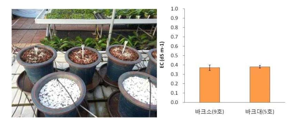 심비디움 절화재배를 위한 완효성 비료 시용량에 따른 배지내 EC농도 Vertical bars represent standard error of the mean