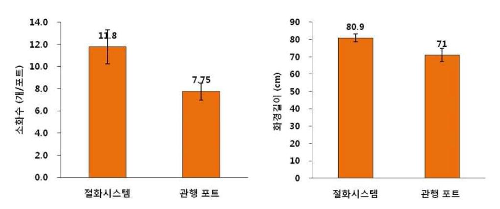 난 절화재배를 위한 전용 포트 및 시스템 구축